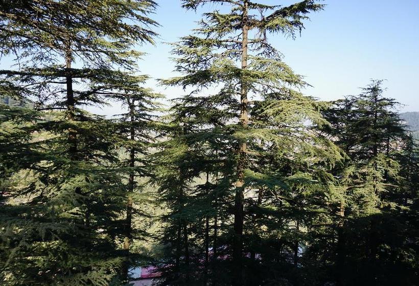 Hostel Woods Shimla 13