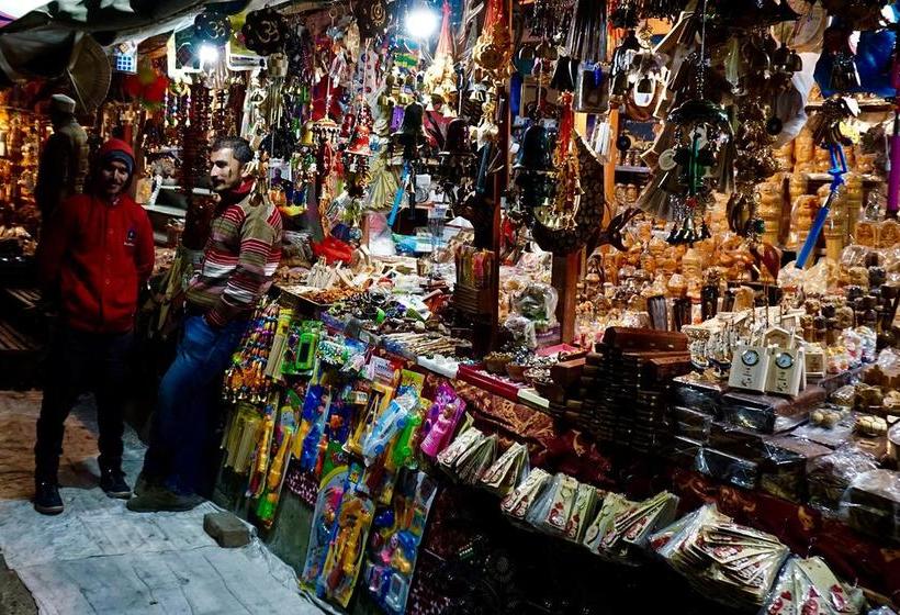 Hostel Woods Shimla 15