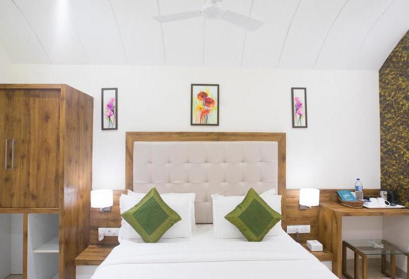 Hotel Treebo Amber International 3