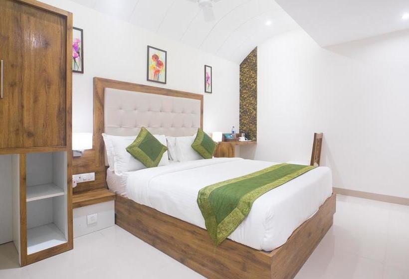 Hotel Treebo Amber International 5
