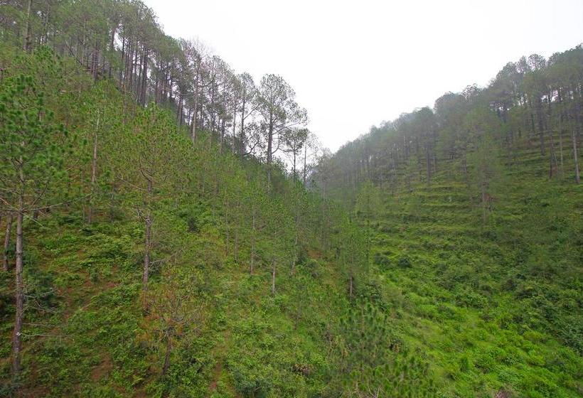 Hotel Oyo 173 Mountain View Studio Rooms Nainital