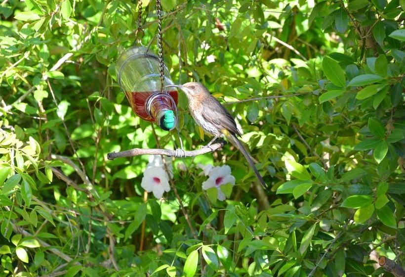 The Blue Door B&b 13