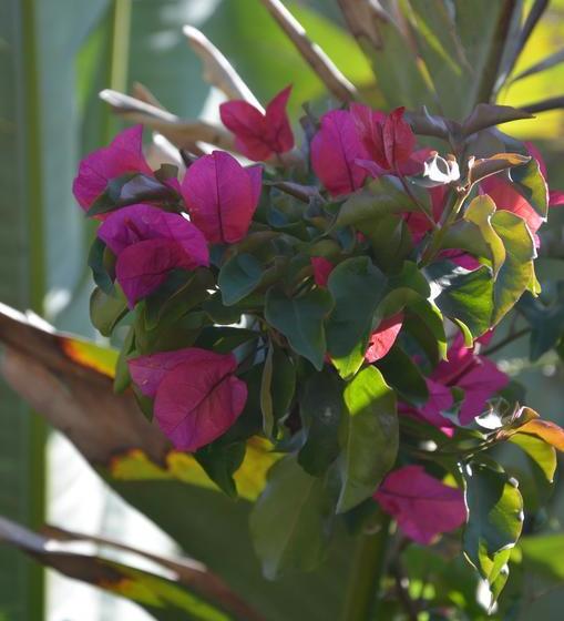 The Blue Door B&b 19