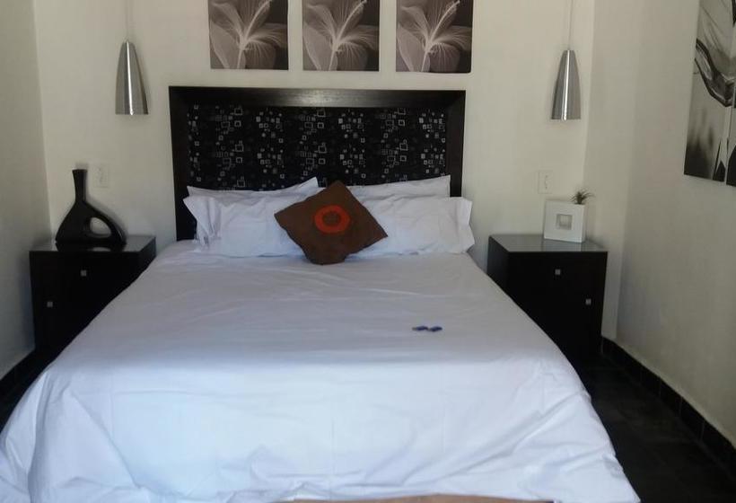 Bed and Breakfast Flying Falcon Guesthouse 2