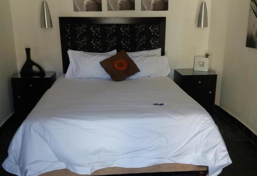 Bed and Breakfast Flying Falcon Guesthouse 6