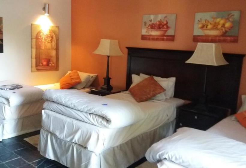 Bed and Breakfast Flying Falcon Guesthouse 8