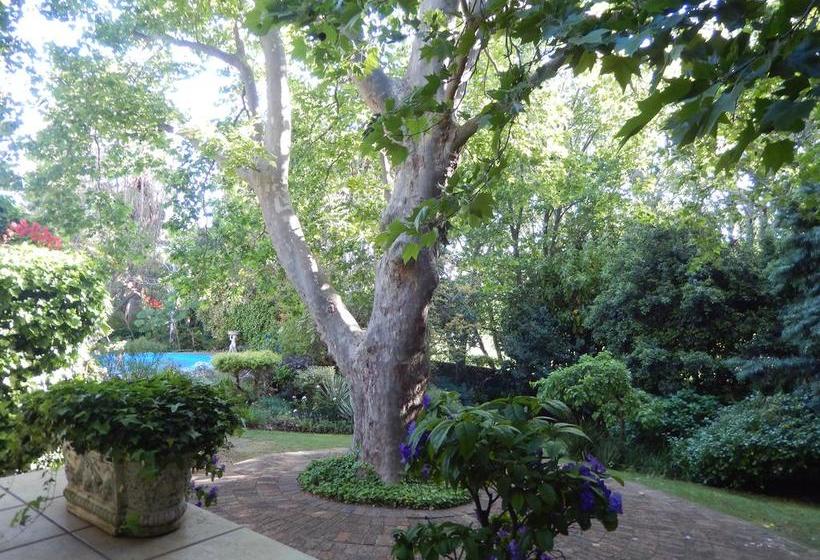 Bed and Breakfast Villa Tuscany 13