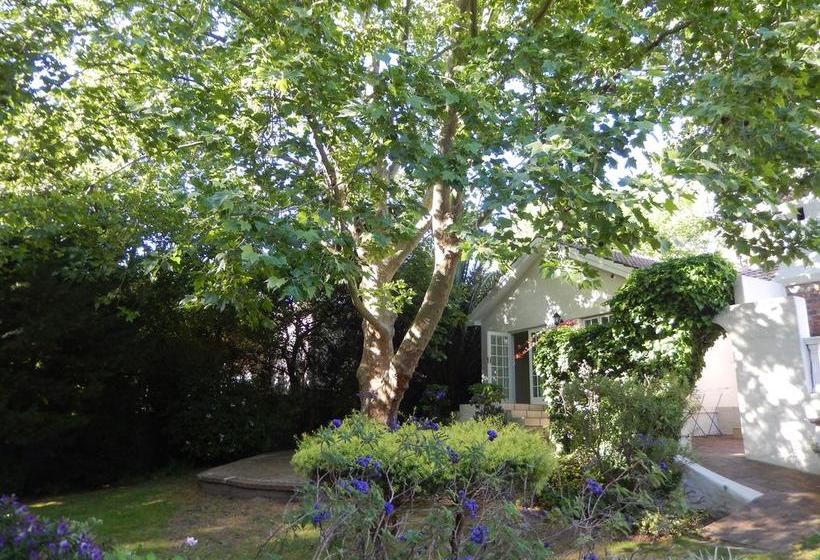 Bed and Breakfast Villa Tuscany 7