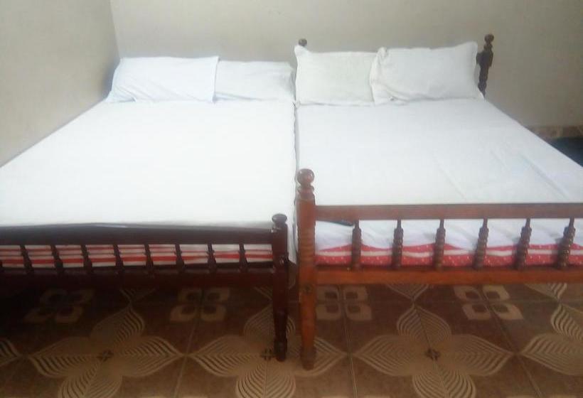 Hotel Shi Tourist Home 15