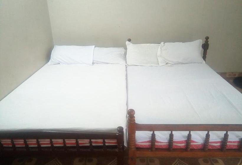 Hotel Shi Tourist Home 5