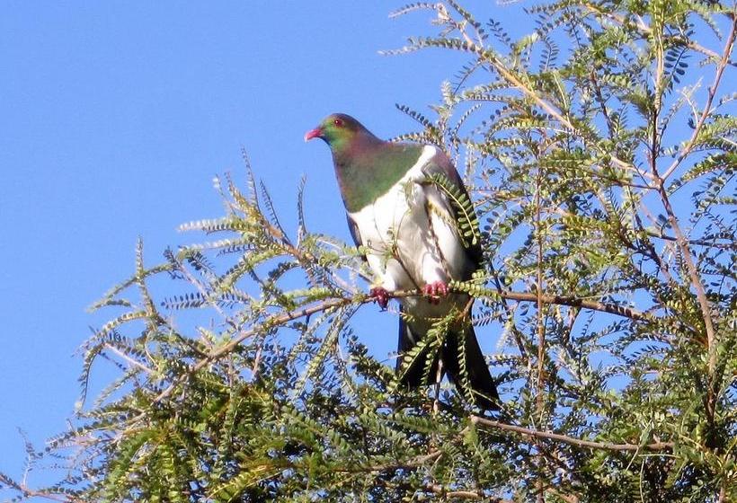 Bed and Breakfast Hyecroft Lodge 2