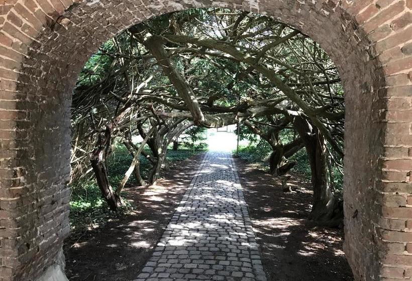 Hôtel Rheinischer Hof 5