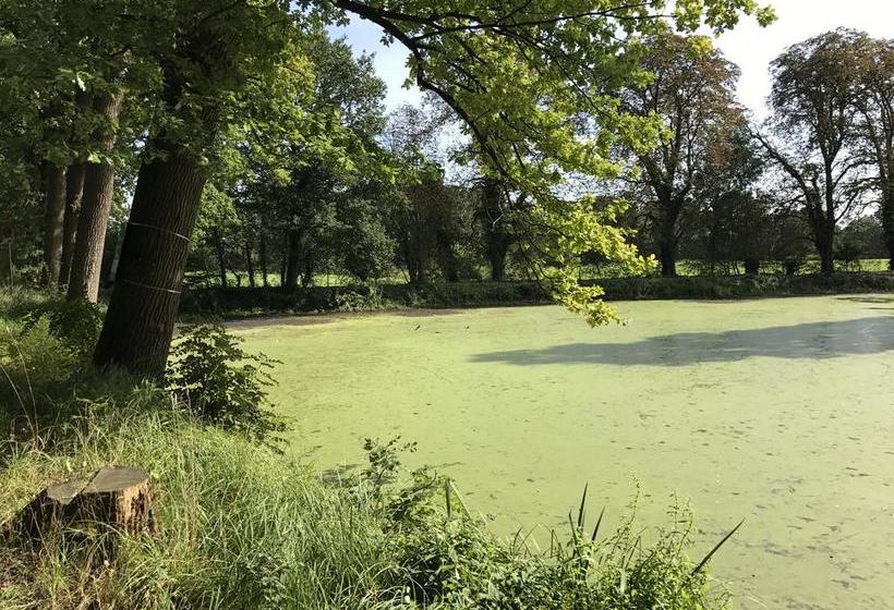 Hôtel Rheinischer Hof 8