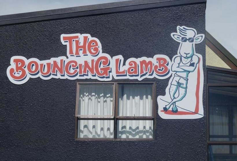 Hostel Bouncing Lamb Backpackers