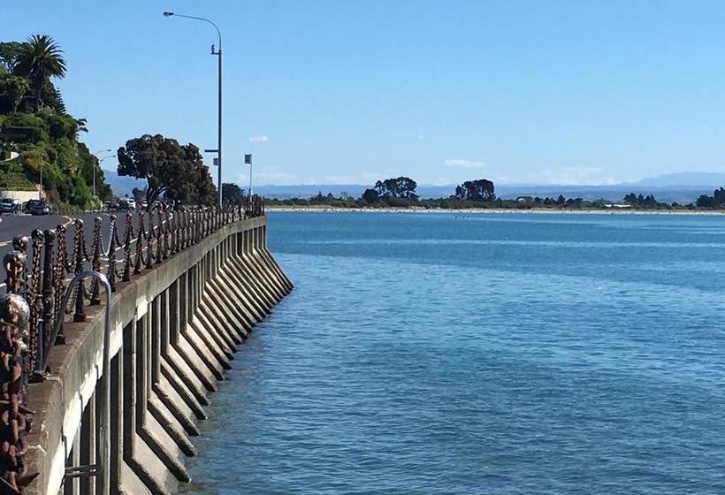 Hostel Bouncing Lamb Backpackers 1