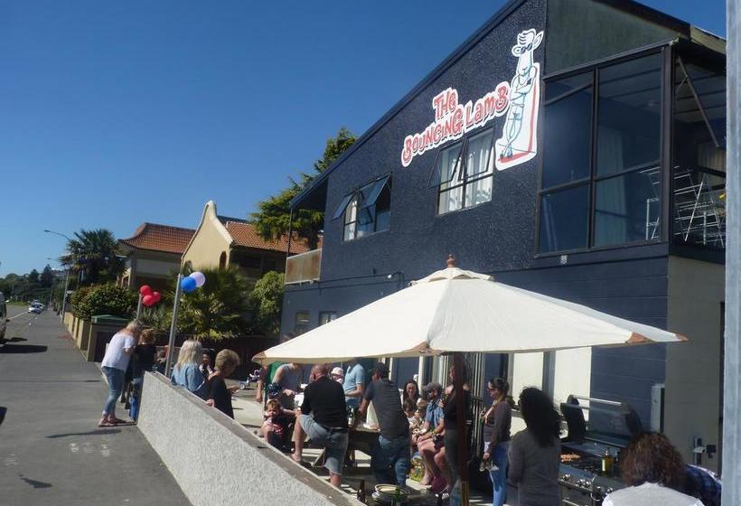 Hostel Bouncing Lamb Backpackers 2