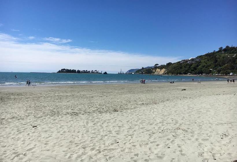 Hostel Bouncing Lamb Backpackers 3