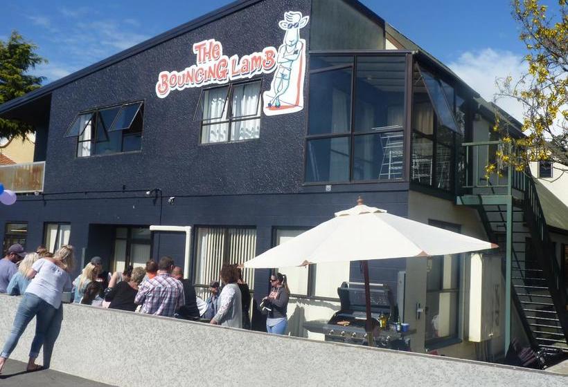 Hostel Bouncing Lamb Backpackers 5