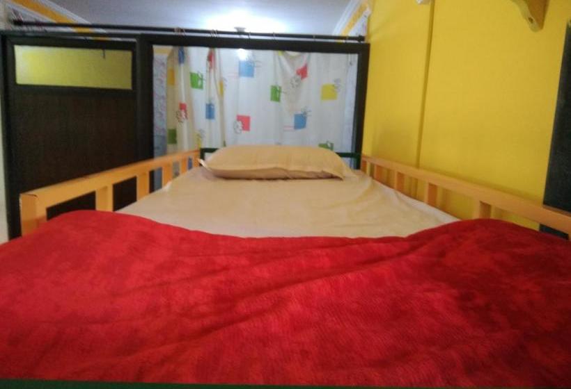 Rasta Mansion Backpacker Hostel And Rooms 5