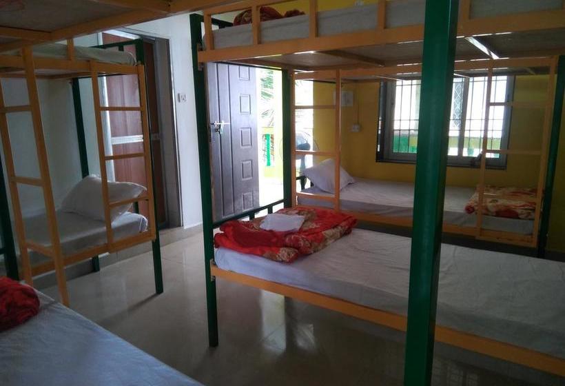 Rasta Mansion Backpacker Hostel And Rooms 6