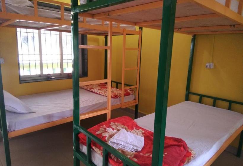 Rasta Mansion Backpacker Hostel And Rooms 7