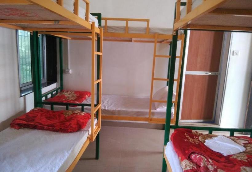 Rasta Mansion Backpacker Hostel And Rooms 8