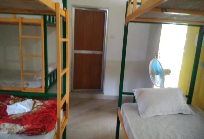 Rasta Mansion Backpacker Hostel And Rooms 9