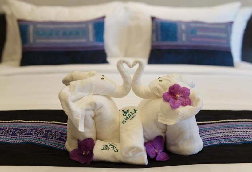 Hotel Chala Number6 4