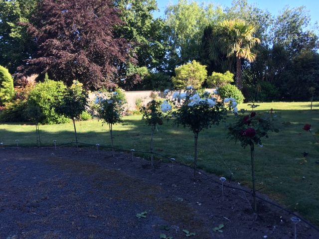 Bed and Breakfast Irongate Retreat 17