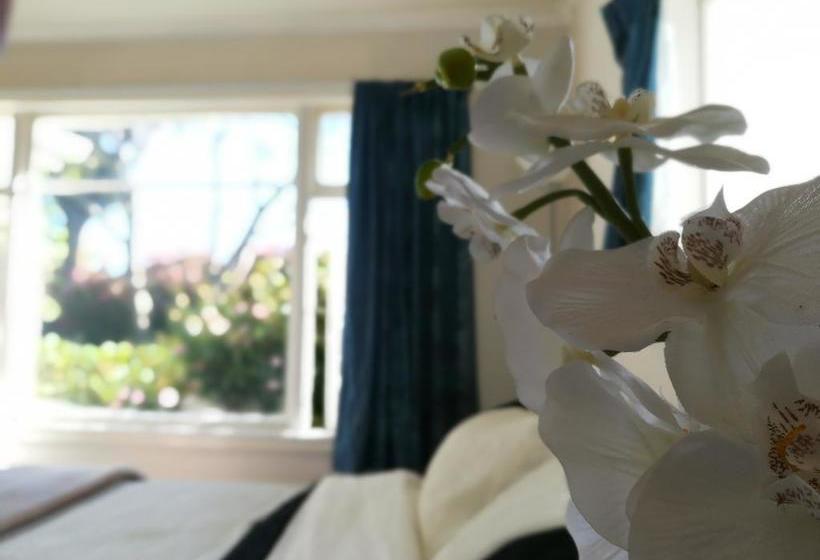 Bed and Breakfast Sunny Cozy Bnb 1