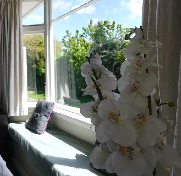 Bed and Breakfast Sunny Cozy Bnb 13