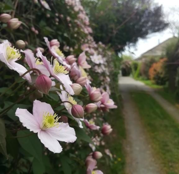 Bed and Breakfast Sunny Cozy Bnb 16