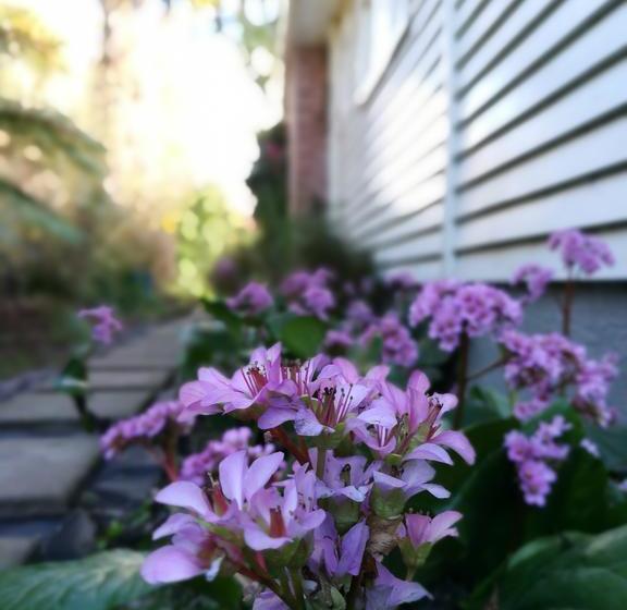 Bed and Breakfast Sunny Cozy Bnb 17