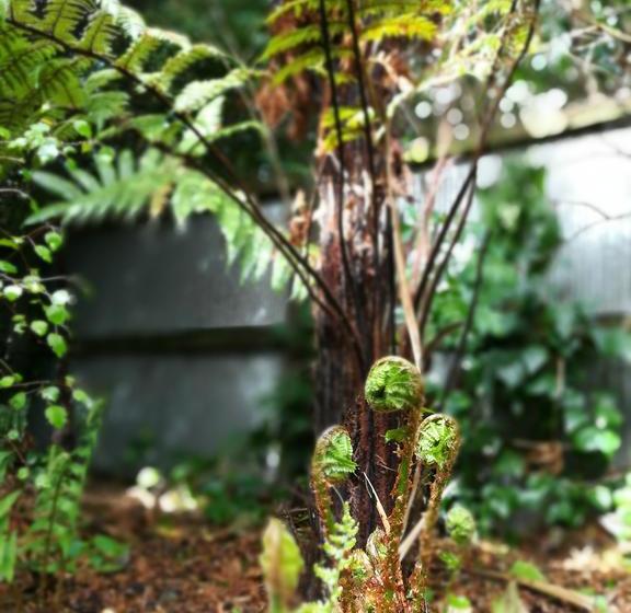 Bed and Breakfast Sunny Cozy Bnb 18