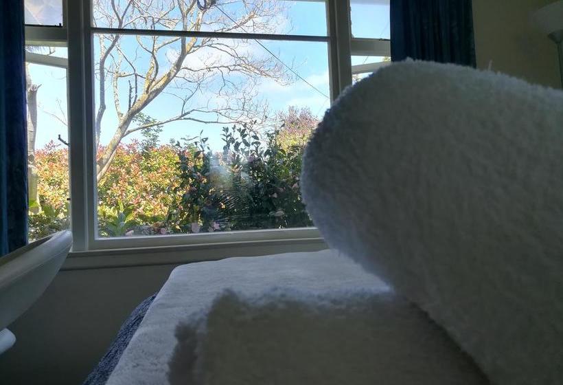 Bed and Breakfast Sunny Cozy Bnb 3