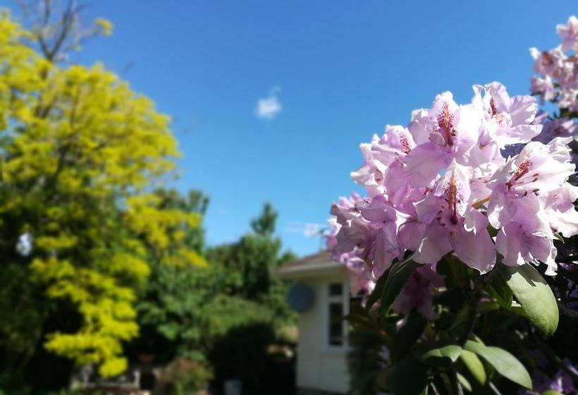 Bed and Breakfast Sunny Cozy Bnb 6