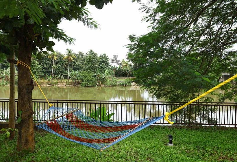 Bed and Breakfast Nadhiyoram 11