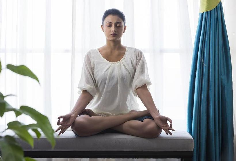 Sonotel Hotels & Resorts Pvt Ltd 6