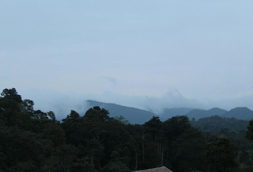 Hotel Sri Vinayaka Comfort 5