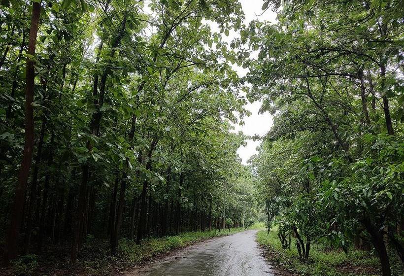 Resort Rai Fhun Pen Jing 11