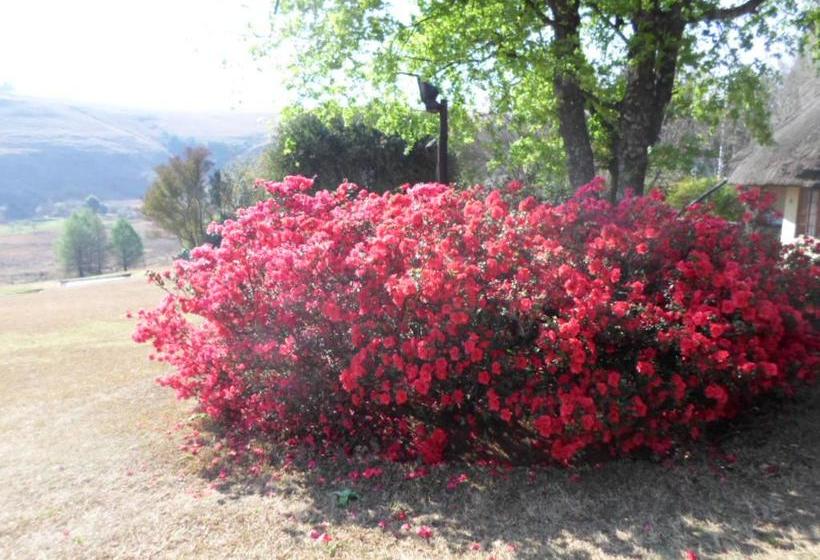 Hotel Jambar Close 10