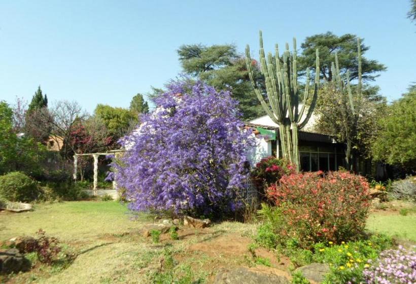 Hotel Jambar Close 17