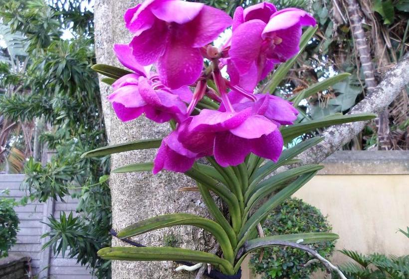 Hotel Jambar Close 18