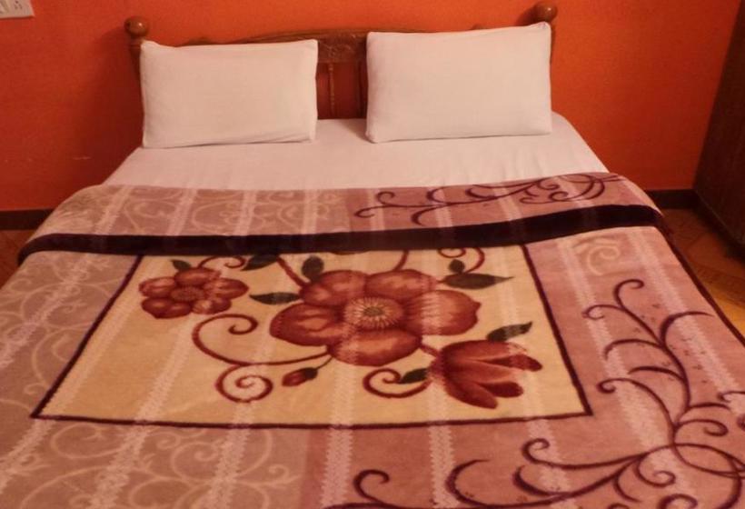 Hotel Saraswathi Holidays 10