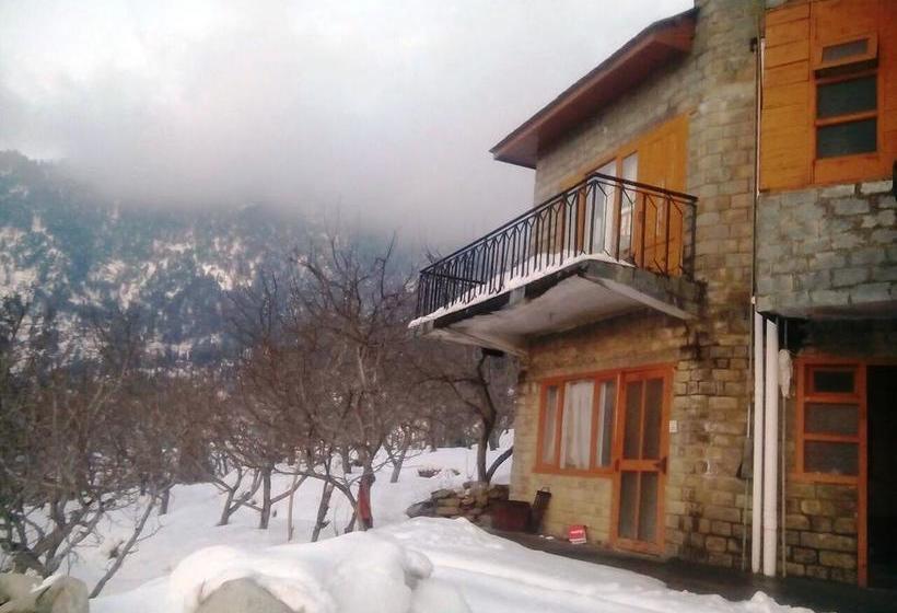 White Mushroom Hotel Rohanda 16