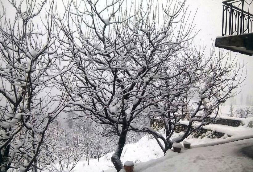 White Mushroom Hotel Rohanda 17