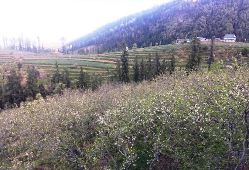 White Mushroom Hotel Rohanda 18