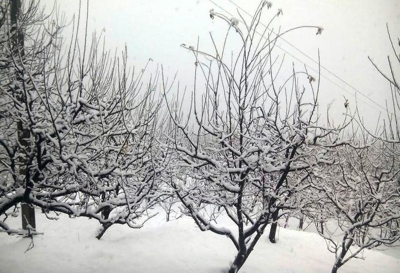 White Mushroom Hotel Rohanda 19