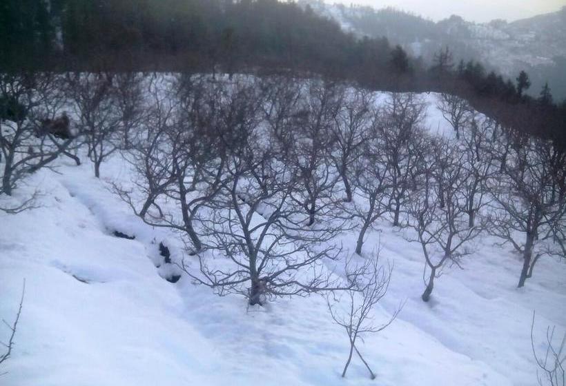 White Mushroom Hotel Rohanda 20