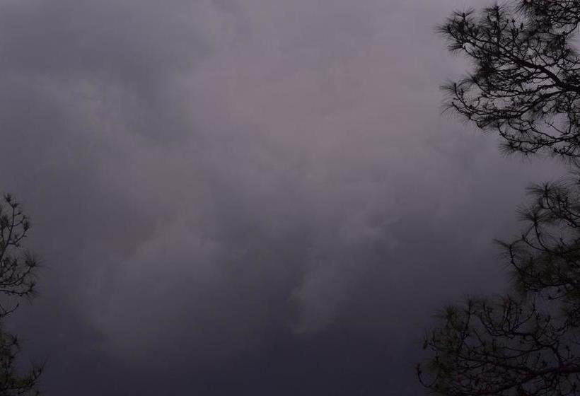 White Mushroom Hotel Rohanda 5